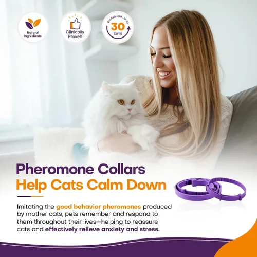 Vista 4 de Collar calmante para gatos con feromona, paquete de 4 collares calmantes para gatos para reducir la ansiedad y los arañazos, 30 días de larga