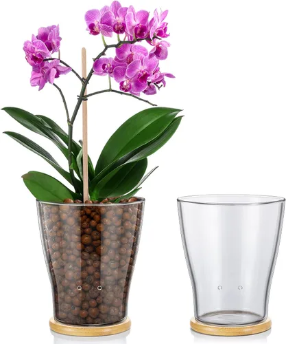 Vista 8 de Macetas de orquídea de vidrio con agujeros y bandeja de bambú con control de nivel de agua Maceta de vidrio transparente semi hidropónica con raíces