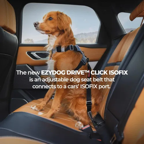 Vista 5 de EzyDog Click ISOFIX Standard – Cinturón de seguridad para perro – 17