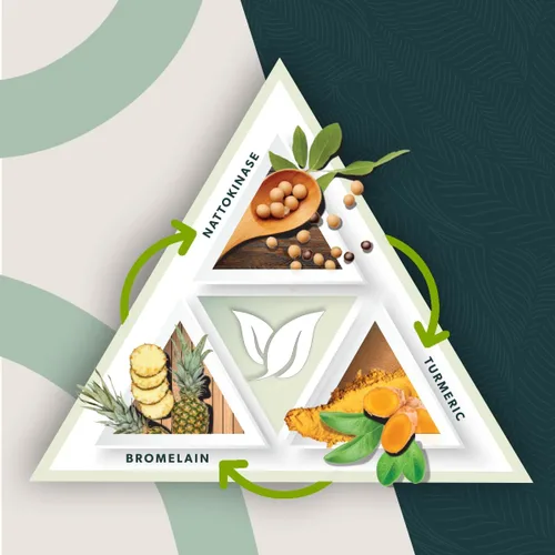 Vista 4 de Spike Tri-Support+ con nattoquinasa, bromelina y cúrcuma - Incluye extracto de diente de león, extracto de semilla negra, hoja de té verde, selenio