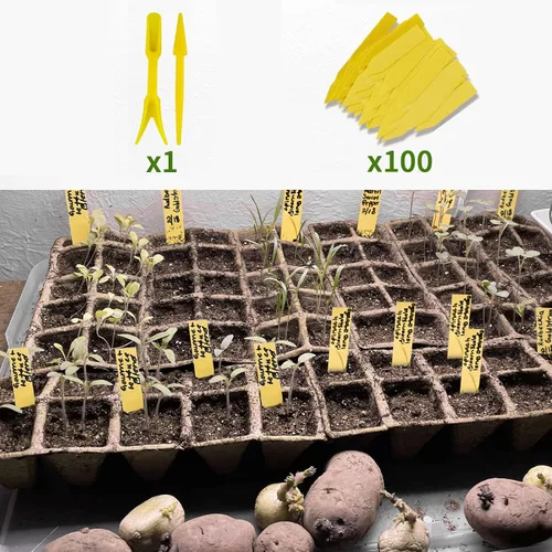 Vista 7 de Bandeja de inicio de semillas 100 celdas, macetas de turba biodegradables para plántulas, paquete de 10 vasos cuadrados de pulpa de 1.8 pulgadas