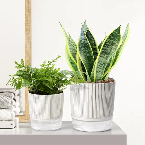 Vista 5 de Macetas de riego automático para plantas de interior, macetas, maceta de riego automático, 2 piezas de 4 + 5.3 pulgadas, rayas negras