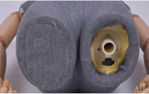 Vista 2 de Cuerpo de maniquí femenino, maniquí de costura, torso, maniquí masculino y femenino, forma de vestido de maniquí de altura ajustable