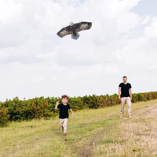 Vista 7 de Cometa Jekosen gigante, de águila calva, 70 pulgadas, cuerda de una sola línea, fácil de volar, para viajes en la playa, parque, familia