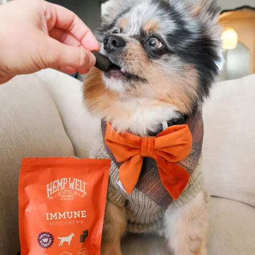 Vista 5 de Hemp Well Masticables suaves para perros de apoyo inmunológico: apoya un sistema inmunológico saludable para perros, de origen orgánico