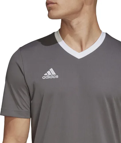 Vista 3 de adidas Camiseta estampada Entrada 22 para hombre