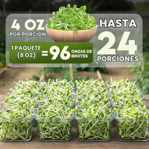Vista 3 de Nature Jims - Semillas de girasol orgánicas para brotar, sin OMG, semillas microverdes de girasol de primera calidad, brotes nutritivos, de rápido