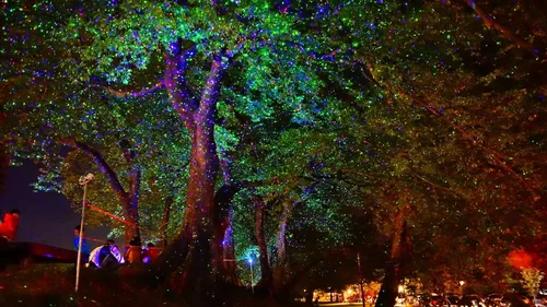 Vista 4 de LedMall láser con luces rojas y verdes y led azul con control remoto y luces de Navidad, para jardín y paisaje