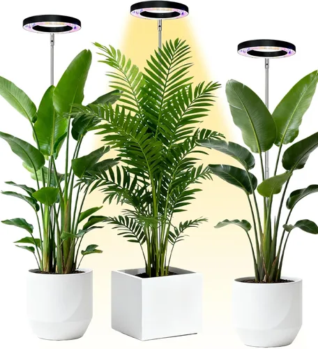 Vista 11 de Yadoker - Luz de cultivo LED de espectro completo para plantas de interior, lupa negra, altura ajustable, temporizador automático, bajo voltaje