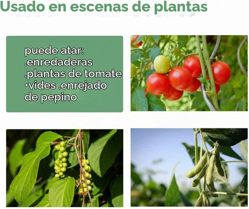 Vista 8 de Corbata de jardín con correa verde que soporta plantas suaves con las plantas, diseño precortado, rasgable, reutilizable, resistente, multiusos