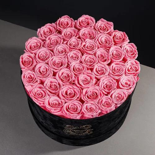 Vista 3 de UFOREVER ROSES 40 Piezas de Rosas Conservadas en Caja de Gamuza, Flores para el Día de la Madre, Regalo de Flores Conservadas para Mujeres, Rosa