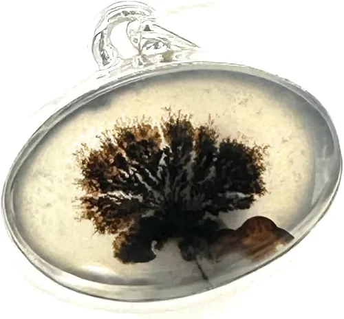 Vista 7 de Rare Scenic Dendritic Agate 925 Solid Sterling Silver Pendant 25mm
