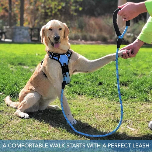 Vista 7 de Correa reflectante duradera, a prueba de enredos y mordeduras con cómoda asa acolchada para perros grandes, medianos y pequeños, correa ligera