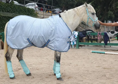 Vista 6 de LEAFOREST Juego de 4 botas para mosca de caballo, protección antideslizante para piernas para burro mini pony, botas de malla transpirable para Azul