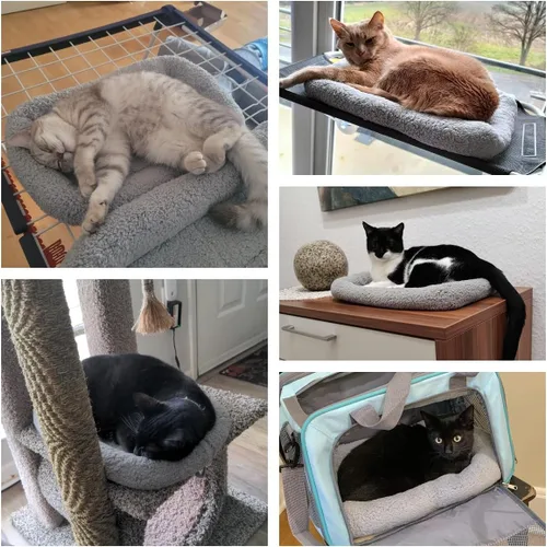 Vista 2 de LESYPET Cama para gatos de interior, cojín de sueño rizado con almohada elevada alrededor, alfombrilla lavable para mascotas