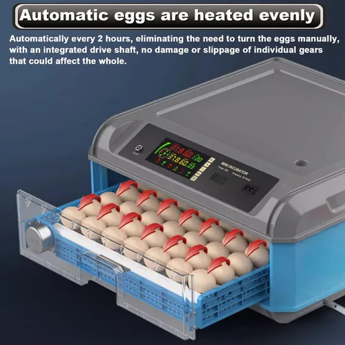 Vista 10 de Incubadora de huevos, incubadora de huevos, 128-500 huevos de gallina, incubadora de pollo completamente automática con girador automático