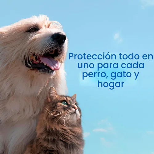 Vista 5 de ADAMS Botanicals Espray para pulgas y garrapatas para mascotas y hogar, para perros, gatos y hogar, 16 onzas