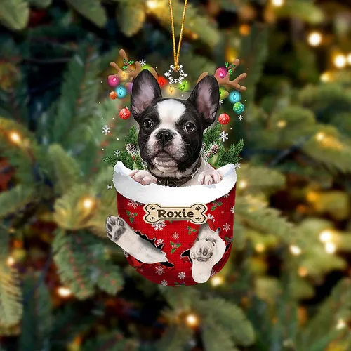 Vista 61 de LOVELYPOD Adorno Personalizado de Perro Affenpinscher, Adornos de Navidad Affenpinscher Regalo para Amante de Perros, Adorno de Navidad Colgante