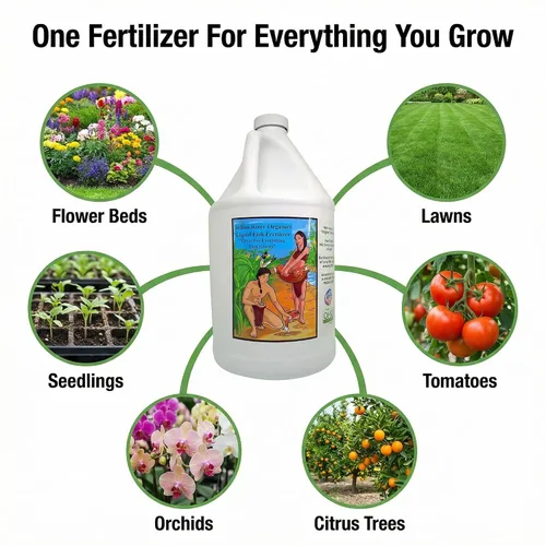 Vista 3 de Fertilizante de pescado - Fertilizante de pescado hidrolizado con certificación Omri para plantas (1 galón)