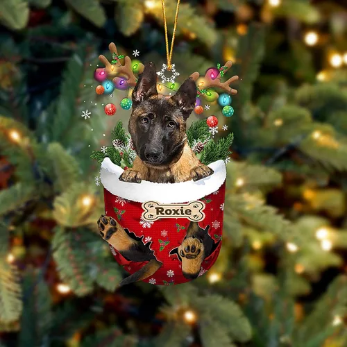 Vista 54 de LOVELYPOD Adorno Personalizado de Perro Affenpinscher, Adornos de Navidad Affenpinscher Regalo para Amante de Perros, Adorno de Navidad Colgante