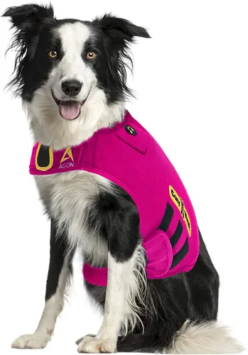 Vista 13 de CozyVest® - Chaleco de ansiedad para perros 3 en 1 con música y aromaterapia, camisa con sonido relajante y aceites esenciales, chaqueta