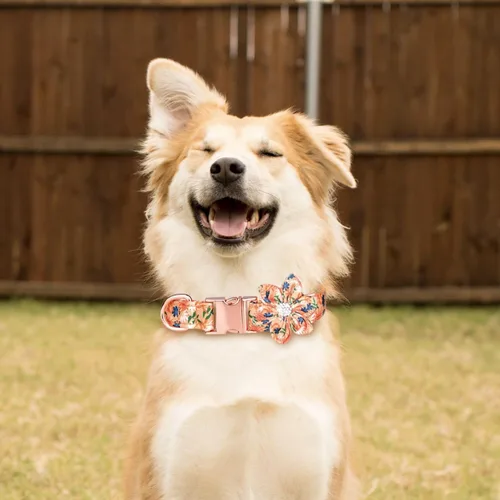 Vista 3 de TDTOK Collar de perro femenino para perros pequeños, medianos y grandes, lindo collar de perro con hebilla de seguridad metálica desmontable