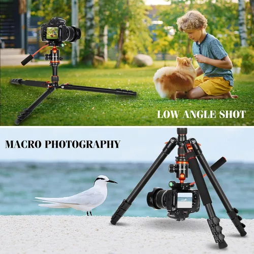 Vista 8 de Trípodes de Cámara y Soporte para Proyector, Trípode 2 en 1 para Cámara con Bandeja de Metal Extraíble, Trípode Resistente para DSLR, Proyector