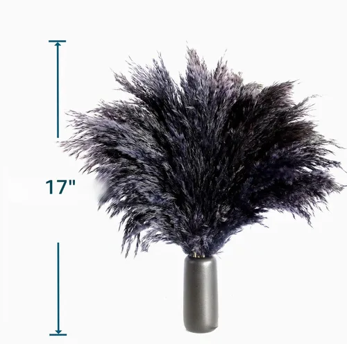 Vista 4 de Zacate de las Pampas Negro para Decoración del Hogar - Elegante Decoración Boho - Tallos de Alta Calidad de Zacate de las Pampas - Perfecto