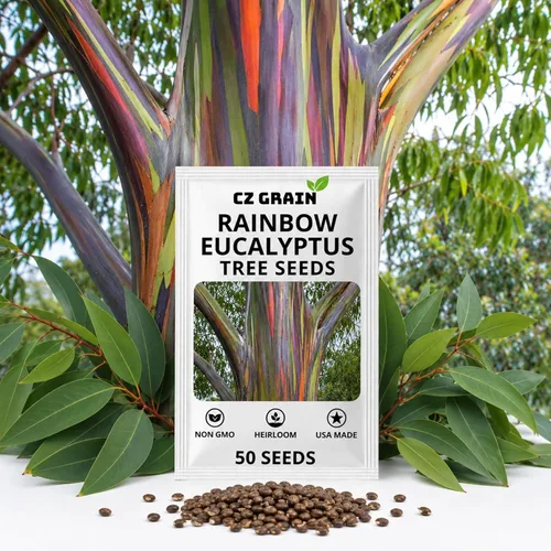 Vista 17 de CZ GRAIN Semillas de árboles exóticos para plantar (Baobab - 5 semillas)