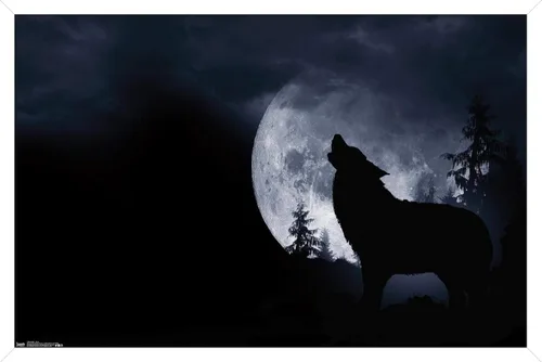Vista 16 de Trends International Póster de pared de lobo - aullido, 14.725 x 22.375 pulgadas, versión enmarcada de madera de granero