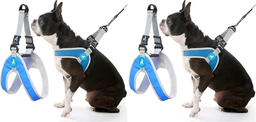 Vista 7 de Gooby Simple Step in III - Arnés para perro, verde, extra pequeño - Arnés para perros pequeños con chaqueta exterior resistente a los rasguños