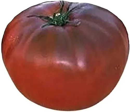 Vista 5 de Semillas de tomate negro Brandywine Heirloom Tomate grande, uno de los tomates más deliciosos para el cultivo casero