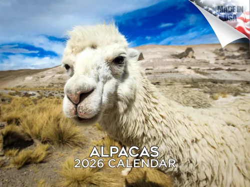 Vista 511 de Calendario de grises africanos 2025 2026 – Planificador mensual de pared de aves africanas – 12 x 18 pulgadas (abierto), calendario de pared