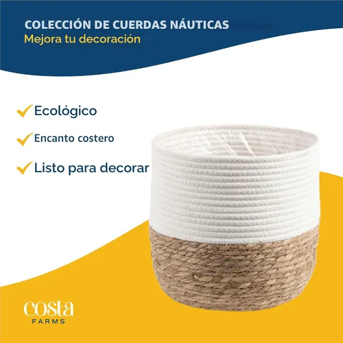 Vista 5 de Costa Farms - Planta interior, filodendro de hoja partida, monstera deliciosa Maceta decorativa