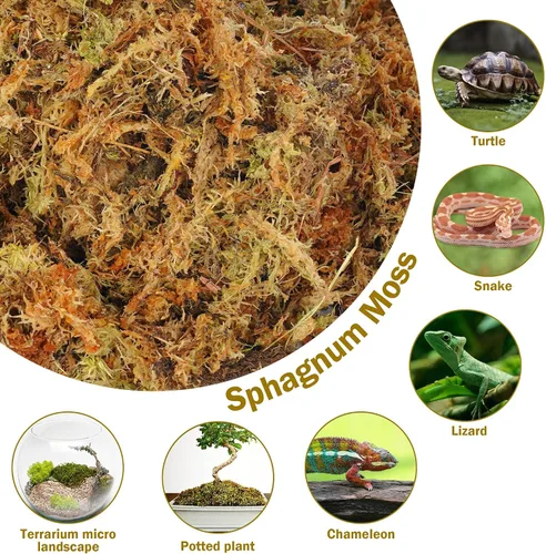 Vista 4 de Hourleey Musgo de esfagnum para plantas, maceta de musgo seco de fibra larga natural de alta calidad, musgo de turba esfagnum a granel