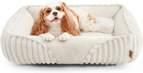 Vista 17 de EHEYCIGA Linda cama para perro de tamaño mediano, cama para mascotas de 30 Crema