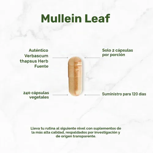 Vista 3 de OFERTA SUPLEMENTO Extracto de hoja de gordolobo 240 cápsulas vegetales