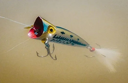 Vista 2 de Rebel Lures Pop-R Topwater Popper - Señuelo de pesca