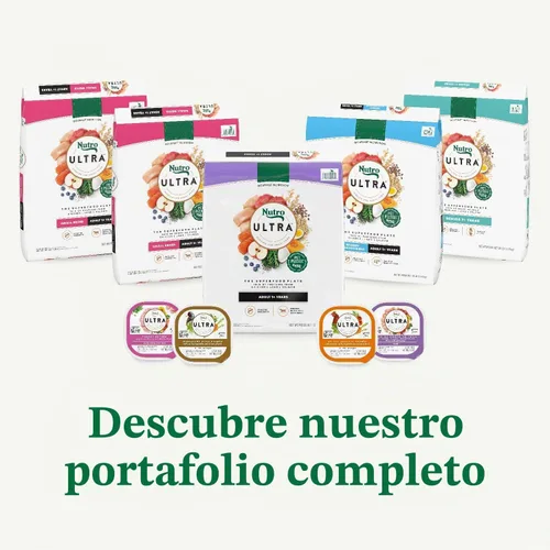 Vista 14 de Nutro Alimento ultra seco para perros, receta de pollo, cordero y salmón, 4