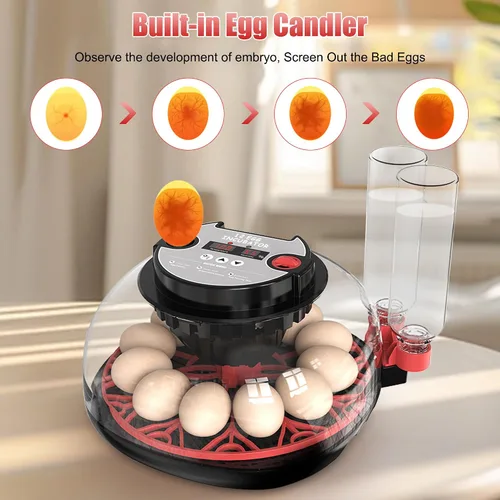 Vista 5 de Incubadora de 12 huevos con control de temperatura, pantalla de humedad, girador automático de huevos y vela, recarga automática de botella de agua