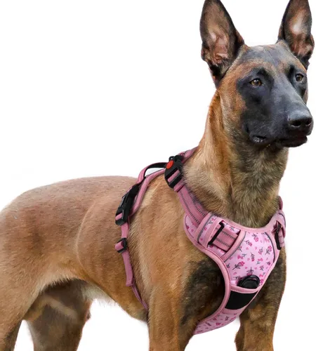 Vista 53 de Rabbitgoo - Arnés para perro de tamaño pequeño, arnés para mascotas sin tirones con 3 hebillas, chaleco acolchado suave ajustable con mango