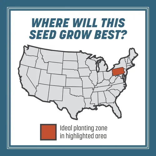 Vista 6 de Pennington Smart Seed - Semillas de césped del estado de Pennsylvania