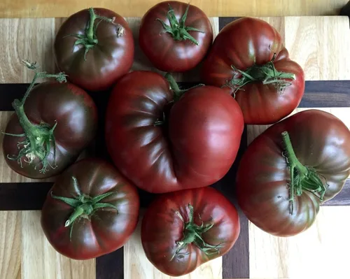 Vista 4 de Semillas Black Russian Tomate Indeterminado No GMO Heirloom