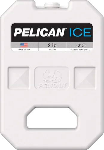 Vista 11 de Pelican Hielo