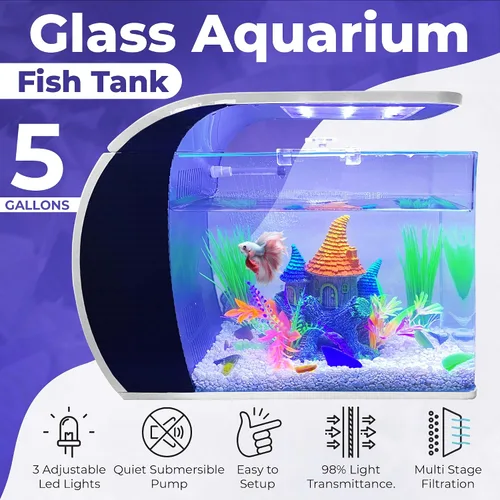 Vista 2 de Tanque de peces de 5 galones, tanque de vidrio en forma de arco con luces LED, kit de tanque de peces con filtro, bomba de agua, bolsa de medios