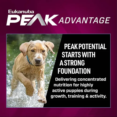 Vista 5 de Eukanuba Premium Performance Puppy Pro - Alimento seco para cachorros, bolsa de 4 libras