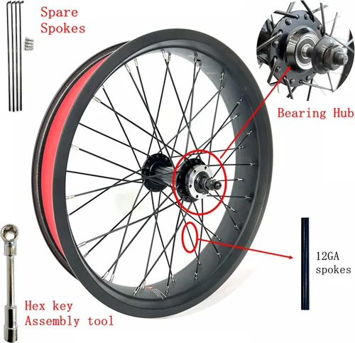 Vista 2 de 20x4.0 Rueda de bicicleta delantera gorda en bicicleta de nieve 20 pulgadas doble pared doble cojinete cubo 36x12G radios 5.315 in caída freno