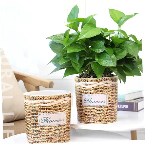 Vista 2 de MERRYHAPY 2 latas de riego para plantas de interior, contenedor transparente, violetas africanas, maceta tejida, maceta de riego automático, macetas