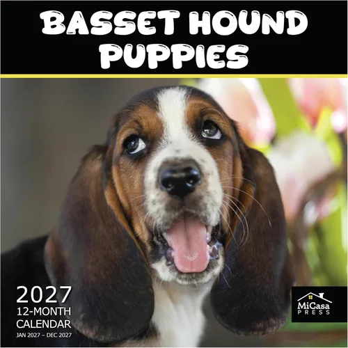 Vista 75 de MICASA PRESS Calendario de pared de Australian Shepherds Aussies 2027 02 - Pastores australianos