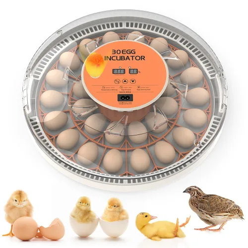 Vista 10 de HOWOOlUA Incubadora de huevos para incubar huevos con giro automático, control de temperatura y humedad, incubadora de huevos integrada de gran Verde